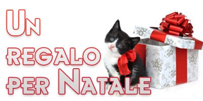 natale.oceweb.it