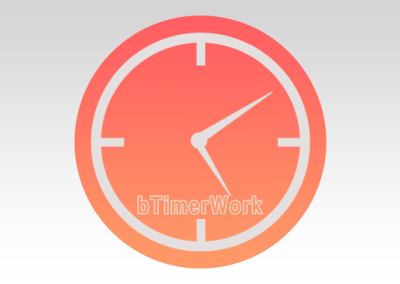 bTimerWork
